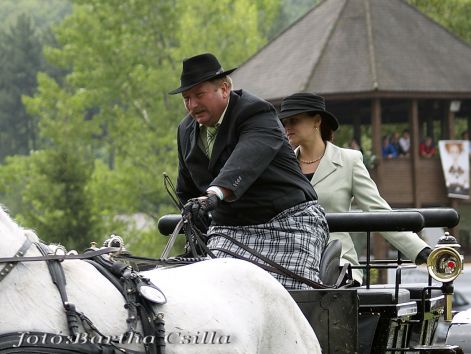 akadaly_szilv034.jpg akadaly_szilv034.jpg